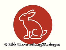   Dierhagen Neuhaus Strandübergang 26