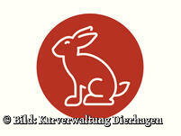 Hase