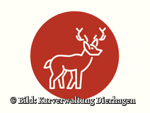   Dierhagen Neuhaus Strandübergang 27