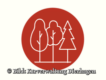   Dierhagen Neuhaus Strandübergang 28