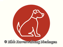   Dierhagen Ost Strandübergang 9