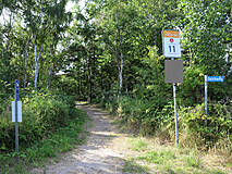 Dierhagen Strandübergang 11 - Zugang zum Übergang
