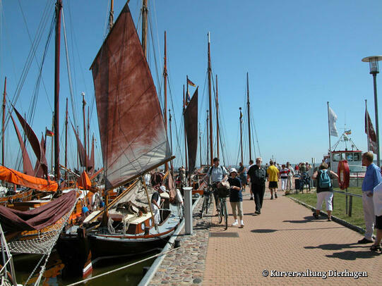 Zeesenbootregatta Dierhagen