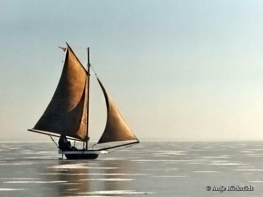 Eissegler auf dem zugefrorenem Bodden