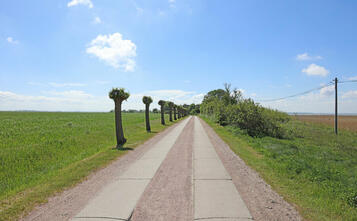 Barnstorf-Tour Spurenweg