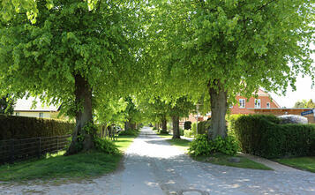 Barnstorf-Tour - Osterstraße