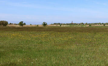 Barnstorf-Tour - Boddenzugang