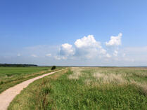Radwege
