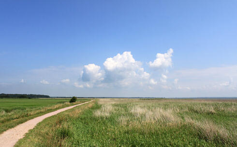 Fahrradtour durchs Ribnitzer Moor