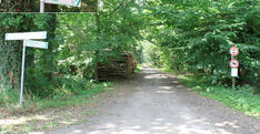 Waldweg Richtung Großes Ribnitzer Moor