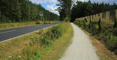 Radweg entlang der Ribnitzer Straße