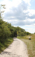 Ribnitzer Moor-Tour - Radweg entlang der Küste