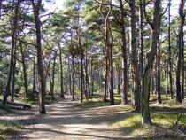 Nationalpark Vorpommersche-Boddenlandschaft