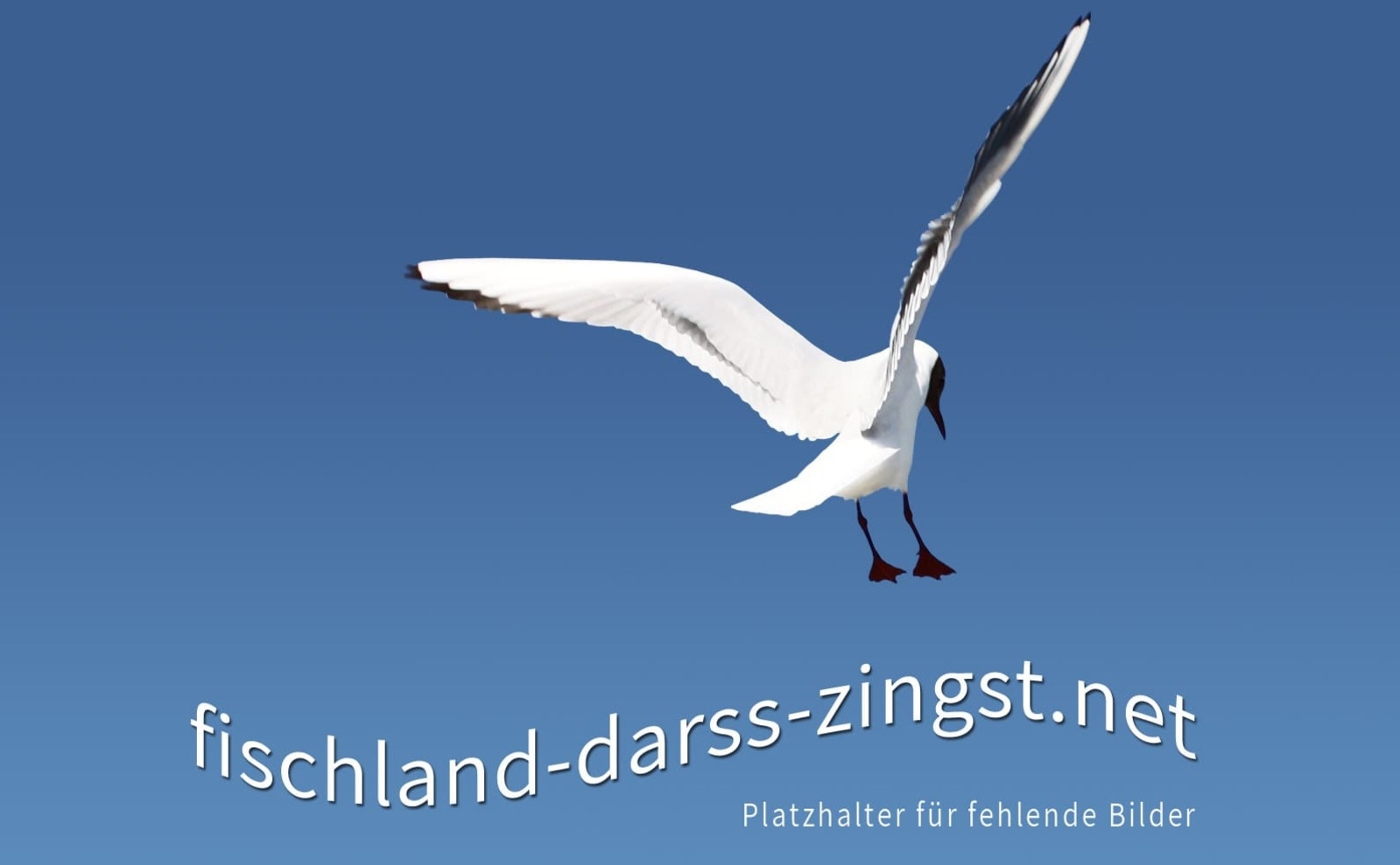 Ahrenshooper Kunstpfad