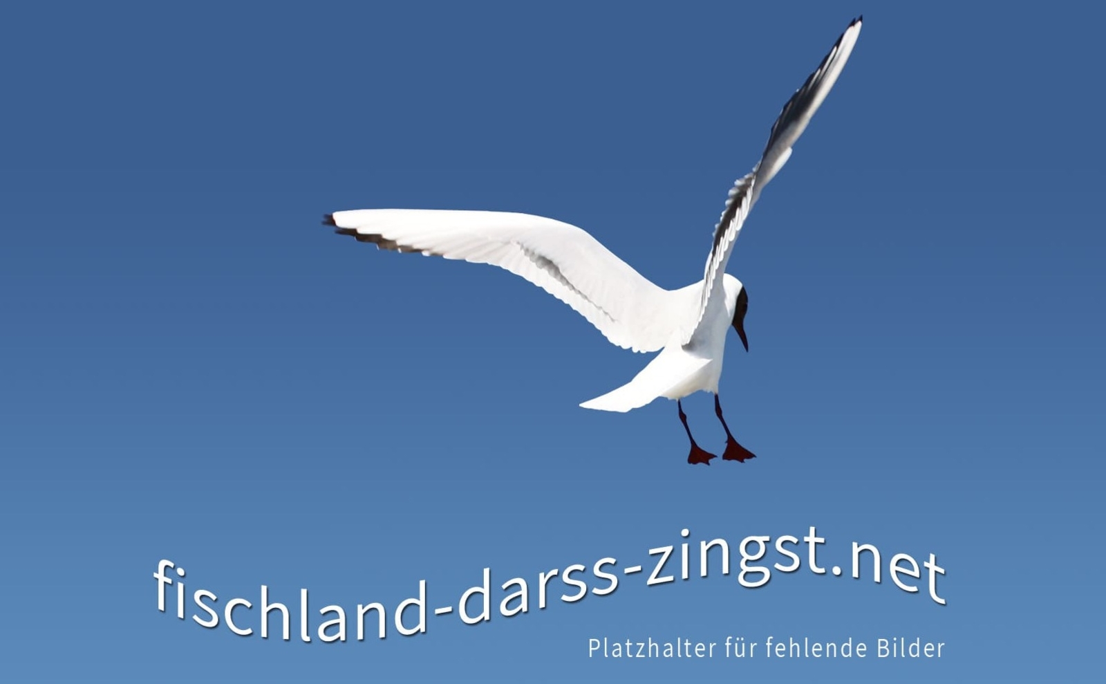 Zingster Winterzauber