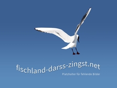 Platzhalterbild