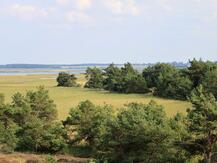 Sundiische Wiese auf dem Zingst