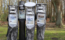 Maskenbild - Borner Kulturstrat