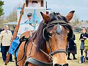 Borner Fastnachtstonnenabschlagen 2022