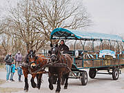 Umzug vor dem Fastnachtstonnenabschlagen 2022