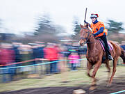 Borner Fastnachtstonnenabschlagen 2016