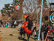 Borner Fastnachtstonnenabschlagen