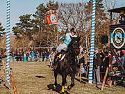 Borner Fastnachtstonnenabschlagen