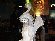 2. Borner Maskenball 2014