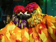 Bilder vom Borner Maskenball 2026