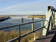 (2) Blick von der alten Meiningenbrücke auf den Strom