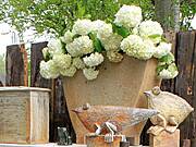 Töpfermarkt im Ostseebad Prerow - Pfingsten 2010