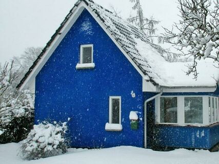 Ferienhaus Seeigel im Ostseebad Ahrenshoop