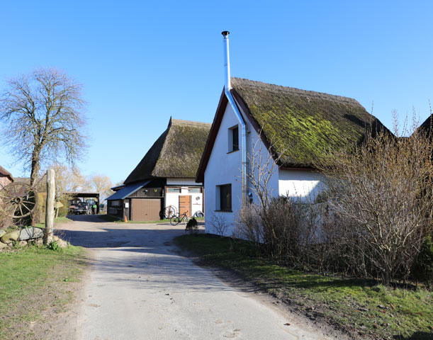 Ferienhaus Ostseebad Ahrenshoop Reiterhof Völkner - Ostsee-Urlaub in der Region Fischland-Darß-Zingst