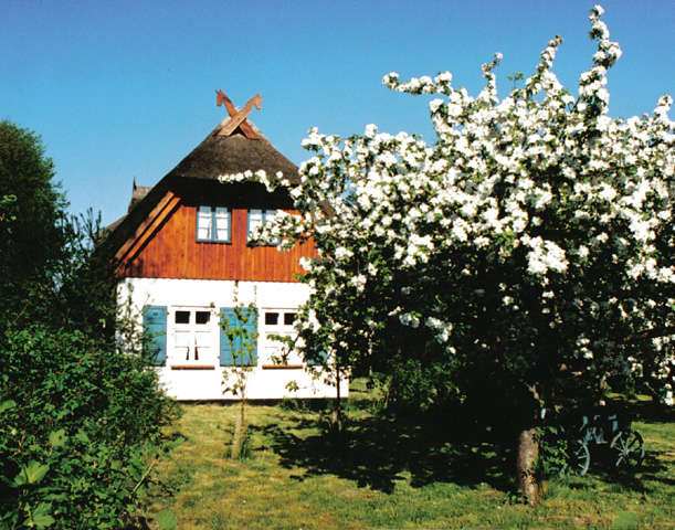 Ferienhaus Born a. Darß  - Ostsee-Urlaub in der Region Fischland-Darß-Zingst