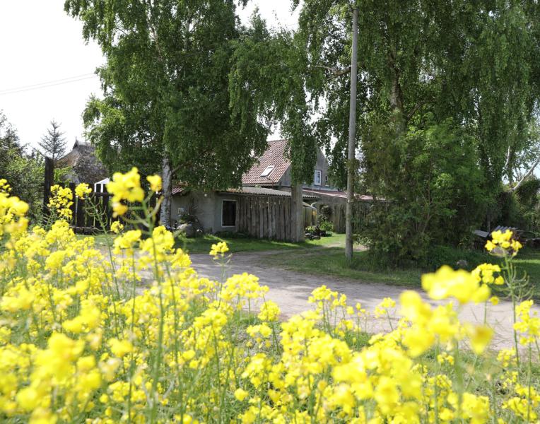 Zimmer Saal  - Ostsee-Urlaub in der Region Ribnitz-Barth-Umgebung