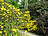 Rhododendronpark Graal-Müritz