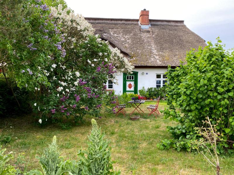 Ferienwohnung Wieck a. Darß Ferienwohnung Gartenblick 2 - Ostsee-Urlaub in der Region Fischland-Darß-Zingst