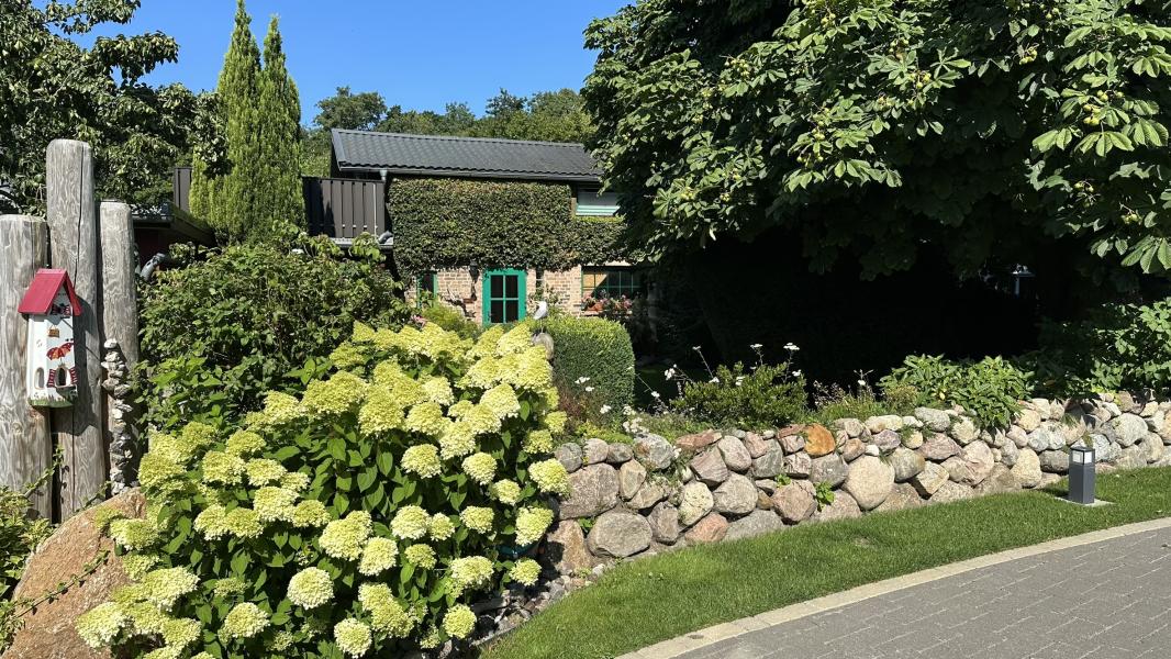 Ferienhaus Ostseeheilbad Zingst  - Ostsee-Urlaub in der Region Fischland-Darß-Zingst