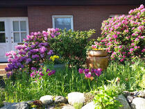 Ferienwohnungen in Dierhagen