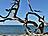 Weststrand
