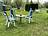 Ferienwohnung im Ostseebad Prerow - Garten