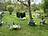 Ferienwohnung im Ostseebad Prerow - Garten