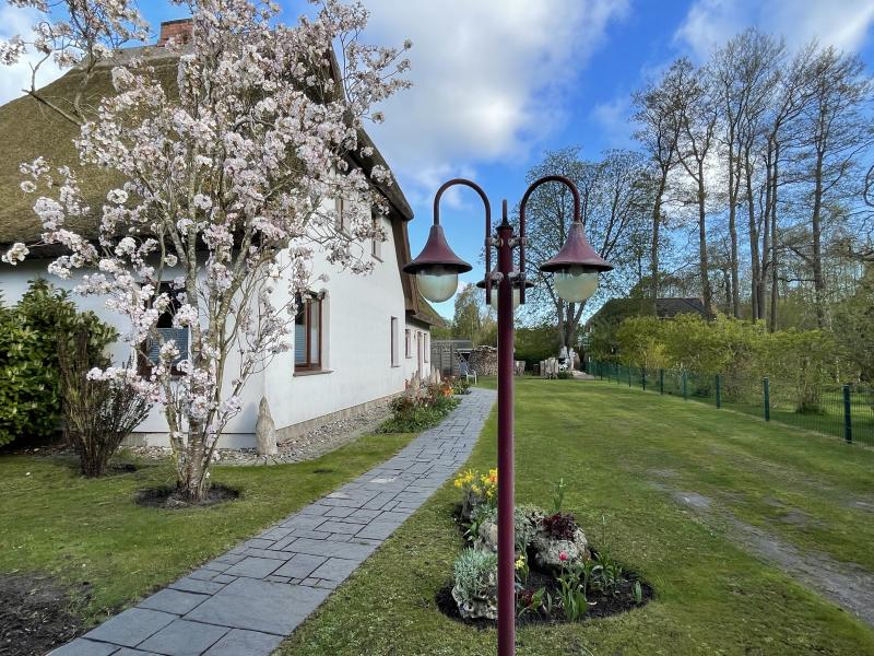 Ferienwohnung Ostseebad Prerow Ferien unterm Reetdach - Ostsee-Urlaub in der Region Fischland-Darß-Zingst