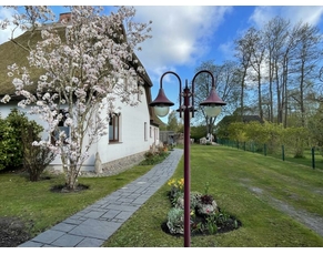 Ferienwohnung Ostseebad Prerow Ferien unterm Reetdach