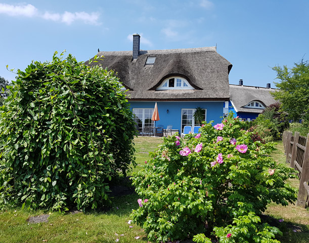 Ferienhaus Ostseebad Prerow Ferienhaushälfte Daniela  2 - Ostsee-Urlaub in der Region Fischland-Darß-Zingst