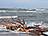 Darßer Weststrand