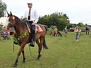 Tonnenabschlagen 2014 in Wieck a. Darß