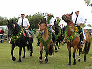 Tonnenabschlagen 2014 in Wieck a. Darß