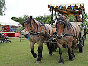 Tonnenabschlagen 2014 in Wieck a. Darß