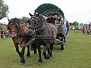 Tonnenabschlagen 2014 in Wieck a. Darß
